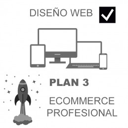 Diseño WEB Plan 3
